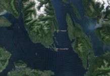 Pilot Dies in Alaska Plane Crash Near Point Couverden