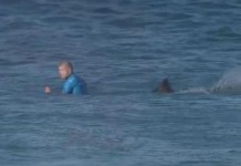 Pro Surfer Barely Escapes Shark