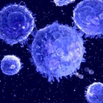 Researchers Develop Method to Increase T Cells in Melanoma Patients 