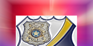 SLC Police Badge Working