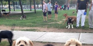 City to Host ‘Yappy Hour’ Event