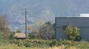 An aluminum ladder stands where 1 worker was killed and 2 others critically injured after hitting a powerline. Photo: Gephardt Daily 