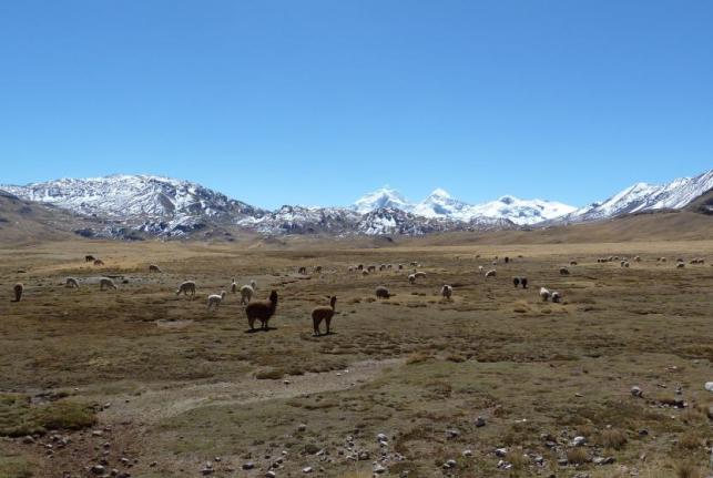 Andes To Lose A Third Of Its Precipitation