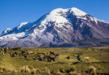 Chimborazo Volcano Bodies Found