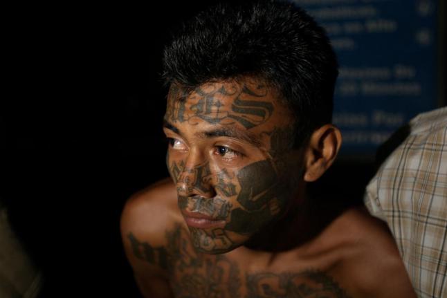 MS-13 Gang Deemed 'Terorrists'