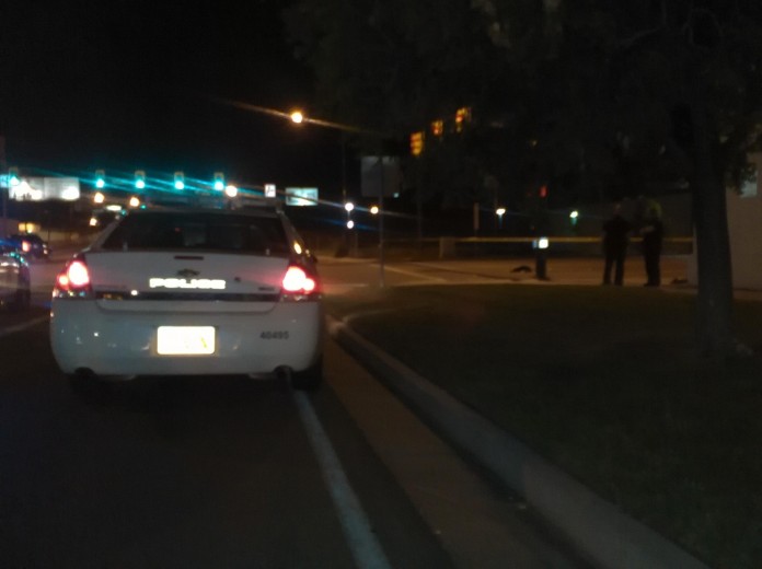 Salt Lake City Fatal Auto Pedestrian Accident