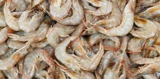 Company Fined $100,000 For Falsely Labeling Shrimp