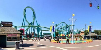 Theme Park Guest Killed After Being Hit by Roller Coaster