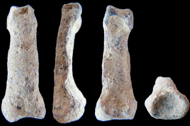 Oldest-Ever Humanlike Hand Bone Found In Tanzania
