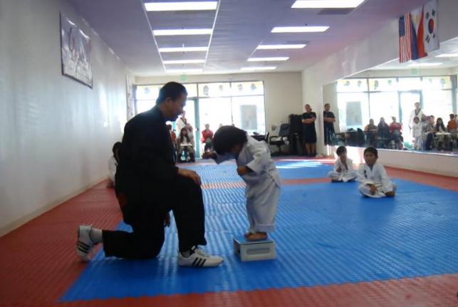 Taekwondo Toddler's Board Breaking Technique