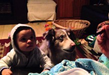 Utah Dog Upstages Baby By Saying "Mama" For A Bite Of Food