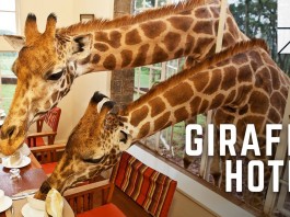 The Giraffe Manor Hotel Breakfast Guests