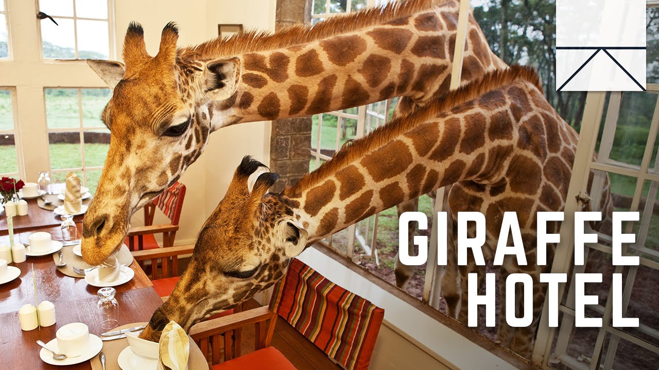 The Giraffe Manor Hotel Breakfast Guests