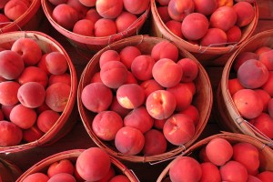 Fruit Way peaches are ready for shoppers. Photo: Gephardt Daily/Nancy Van Valkenburg