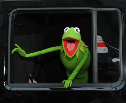 Kermit the Frog's Alleged New Girlfriend
