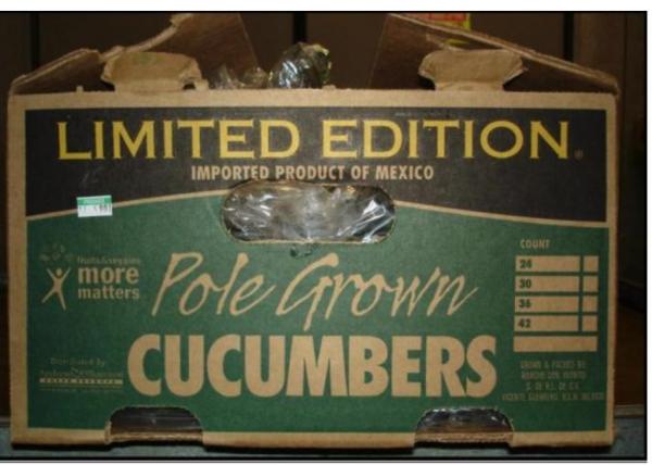 Salmonella-Tainted Cucumbers