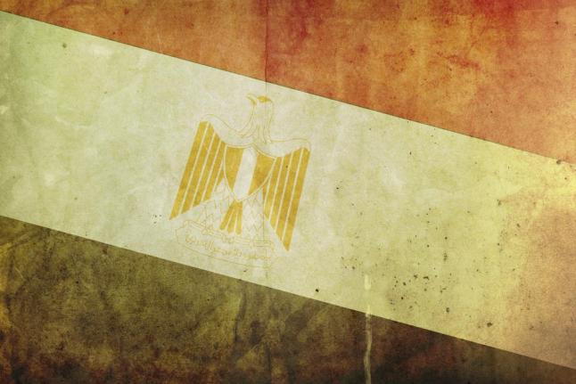 Egyptian Agriculture Minister Resigns