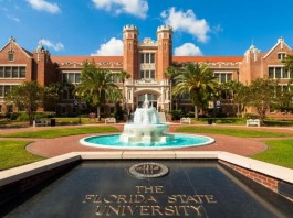 The Florida State University