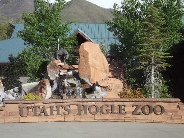 Utah's Hongle Zoo