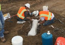 Ice-Age-fossils-up-to-200000-years-old-found-at-California-construction-site