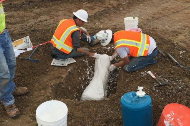 Ice-Age-fossils-up-to-200000-years-old-found-at-California-construction-site