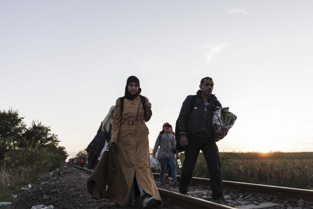Migrants Entering Hungary