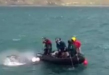 New Zealand Police Rescue Humpback Whale