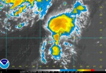 Tropical-Depression-Fred-clings-to-life-in-central-Atlantic
