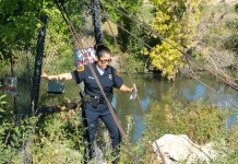 Body Found Along Jordan River