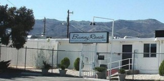 Bunny Ranch Brothel To Offer Student Debt Relief