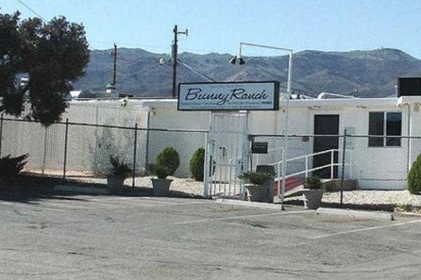 Bunny Ranch Brothel To Offer Student Debt Relief