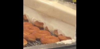 Doughnut-shop-customer-films-bugs-falling-into-glaze