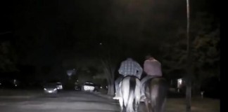Two Men On Horseback Flee Police After Rodeo Fight