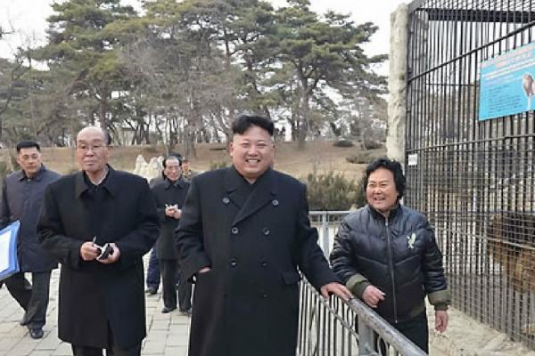 Dozens-of-animals-suffocated-in-North-Korea-zoo-source-says