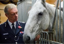 London Police Horses Injured