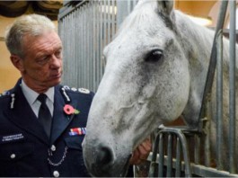 London Police Horses Injured