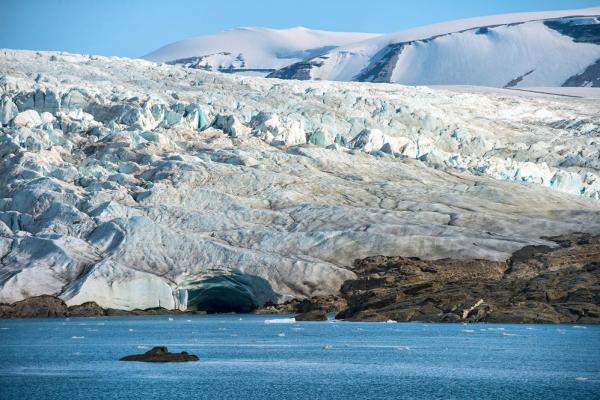 400-Million-Year-Old Tropical Forest Found In Norway