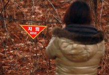 South Korea To Deploy Drones At Demilitarized Zone