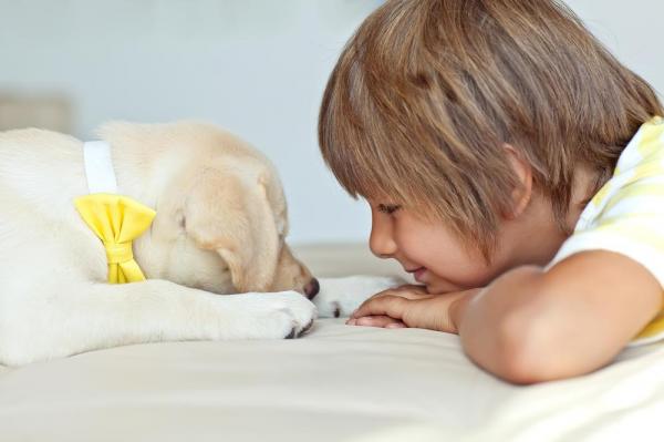 Dog May Reduce Childhood Anxiety
