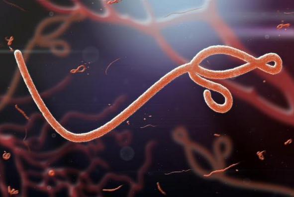 WHO-declares-Sierra-Leone-free-of-Ebola-transmissions
