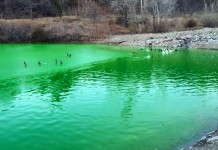 Farmington Pond Green