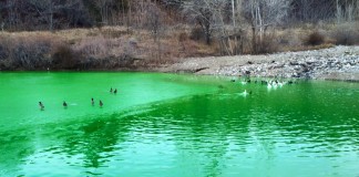 Farmington Pond Green