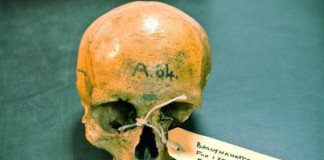 Genomes Of Early Irish Settlers Sequenced