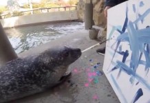 Massachusetts Zoo Sells Artwork