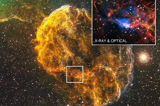 Origins Of Jellyfish Nebula