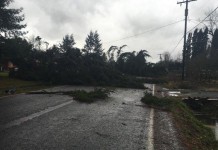 Rare Winter Tornado