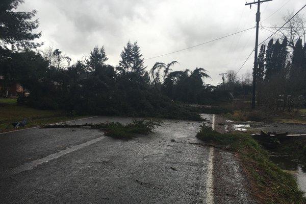 Rare Winter Tornado