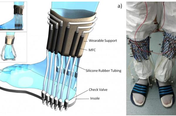 Urine-Powered Wearable Energy Generator