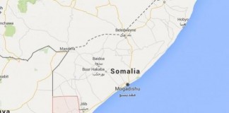 Somali Forces Recapture Village