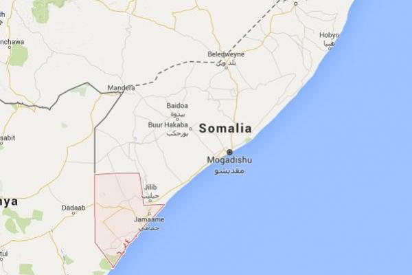 Somali Forces Recapture Village